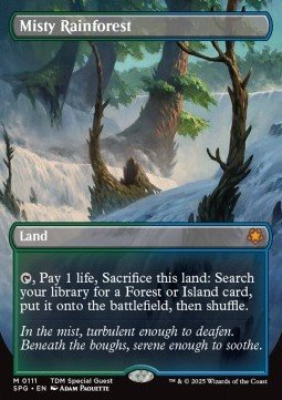EK Nebliger Regenwald (V.1) EN