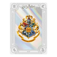 Harry Potter 25th Anniversary Edition - 3g Silver - Mystery
