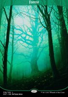 EK Wald EN