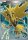 EK Zapdos [GEN] #29 DE